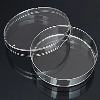 petri-dish-2c-ps-500x500-1